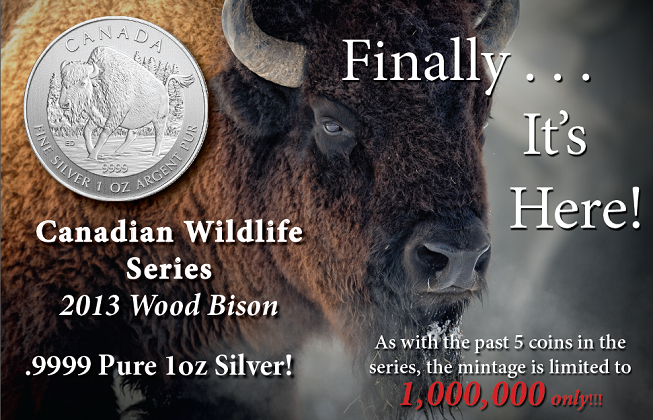 2013 Wood Bison